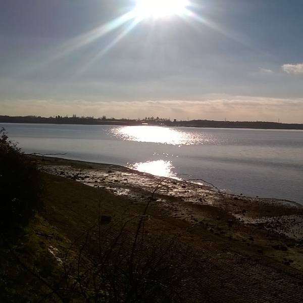 Shot of a large body of water, facing directly into the sun, at Stalham water recycling centre